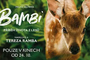 BAMBI: PŘÍBĚH ŽIVOTA Z LESŮ